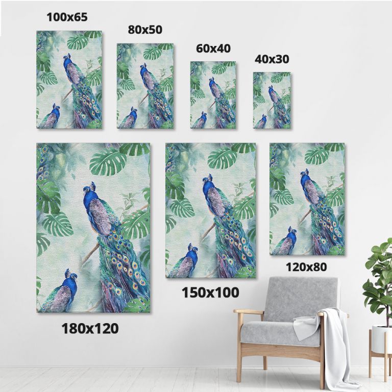 pinakas-se-kamva-kathetos-saloni-sizes-11032-peacock