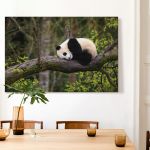 pinakas-se-kamva-orizontios-kouzina-d-03552-giant-panda-ailuropoda-melanoleuca-approximately