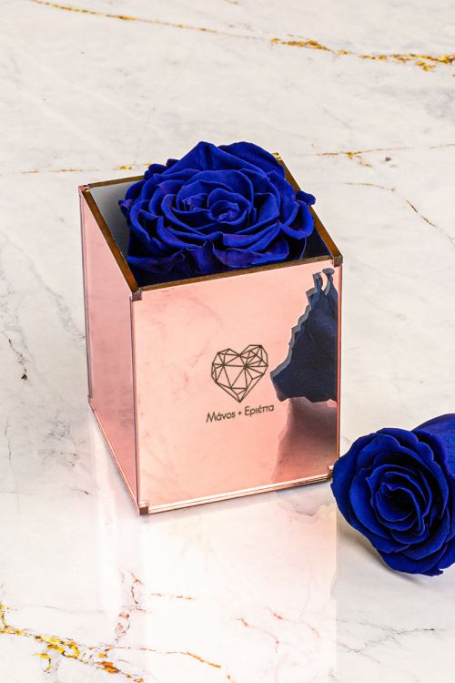 Παντοτινά Τριαντάφυλλα, Forever Rose Pink Gold - Geometric Love