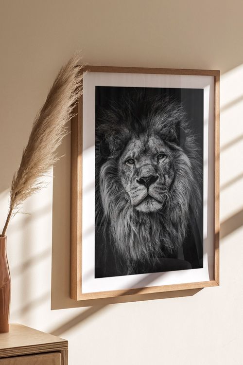 Black And White Lion Premium Poster