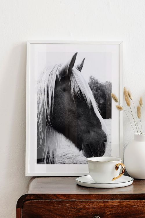 Black And White Horse Premium Poster