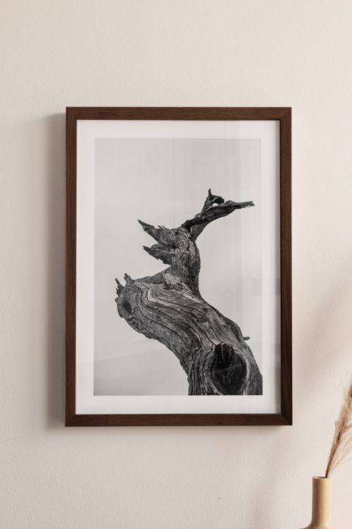 Black And White Kedros Premium Poster