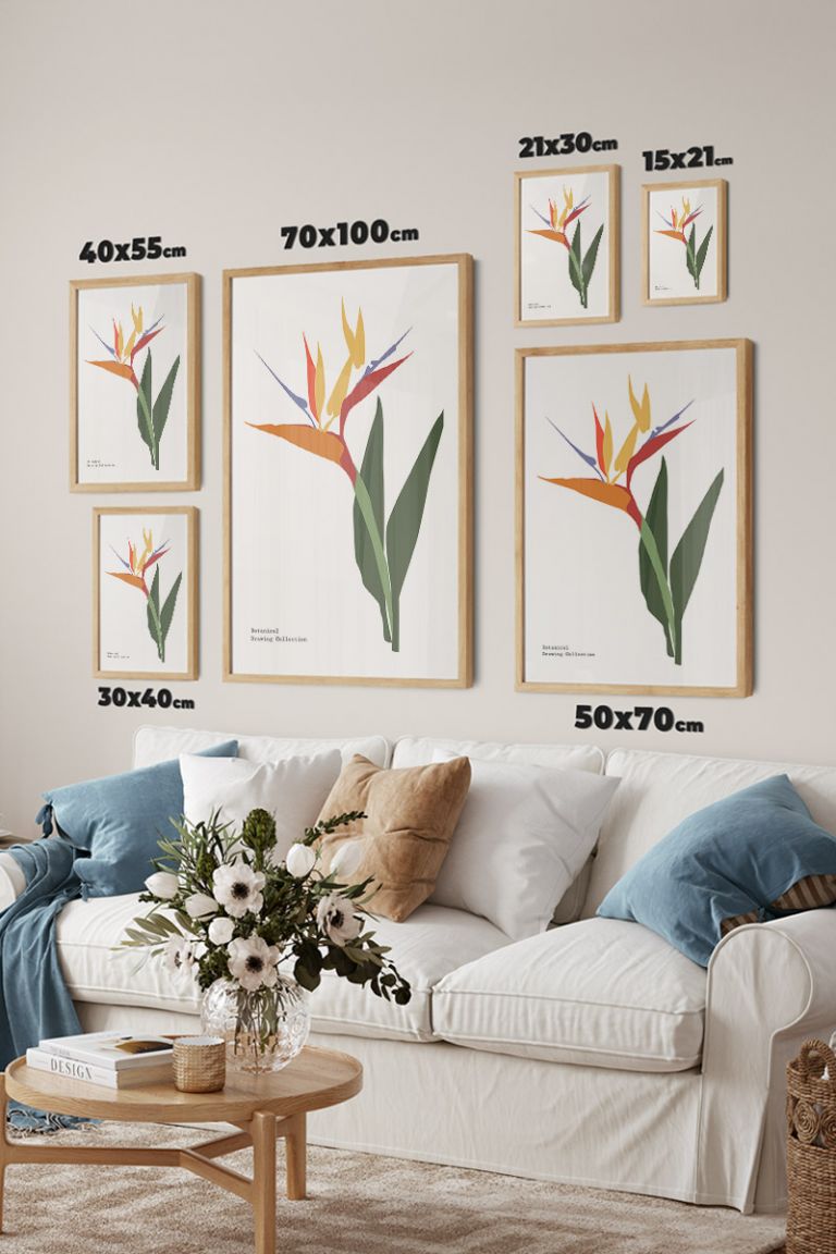 poster-dimensions_-00625.jpg