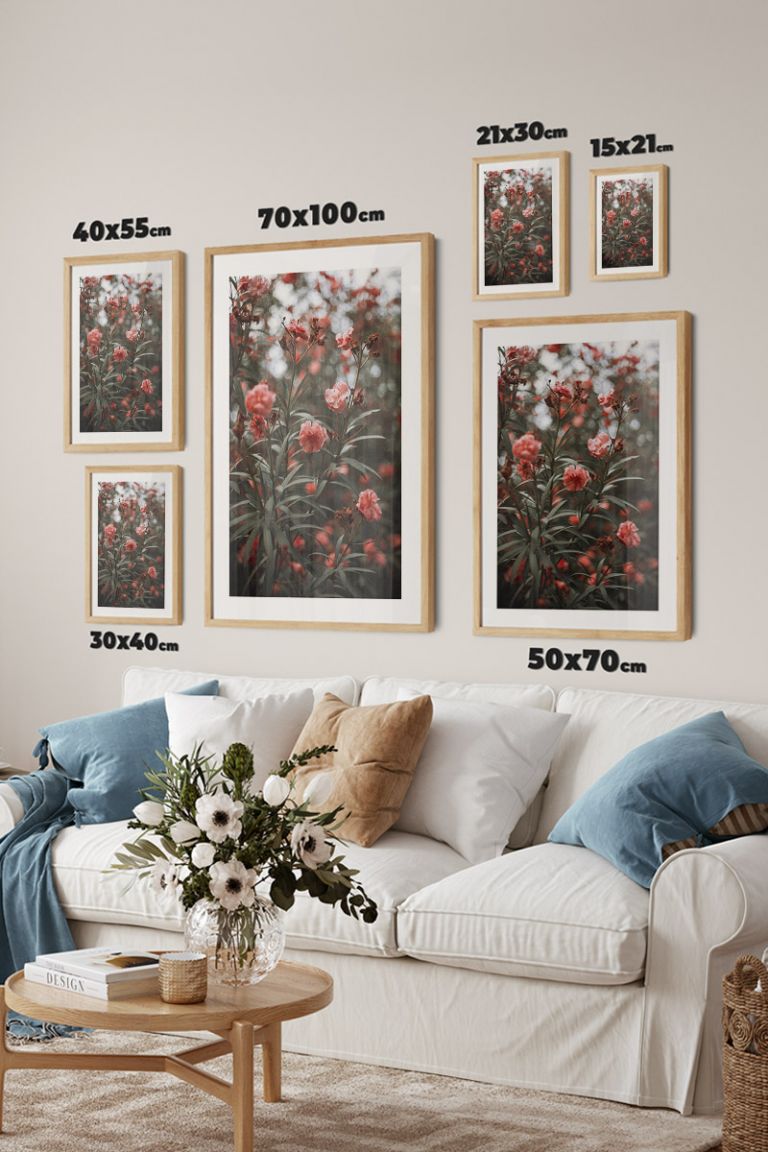 poster-dimensions_-01071.jpg