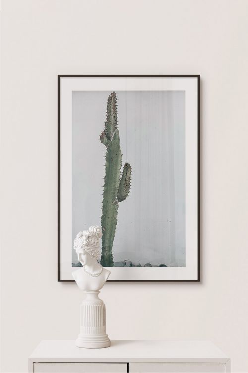 Cactus And Rocks Premium Poster