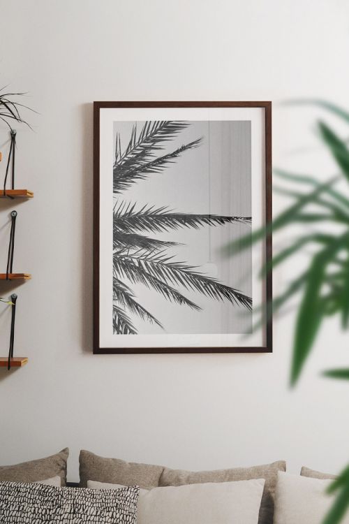 Black And White Leaves No2 Premium Poster
