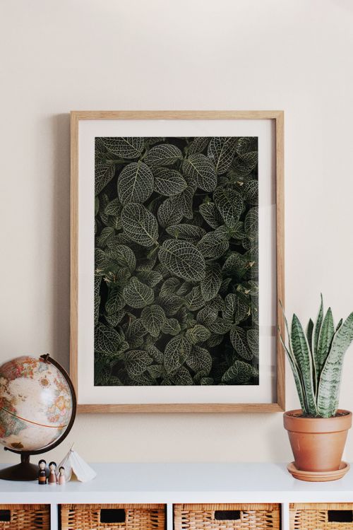 Nature Photography Collection Leaves No10 Premium Poster