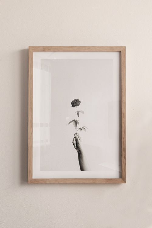 Take The Rose Premium Poster