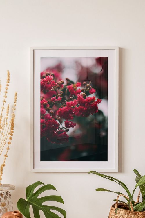 Nature Photography Collection Flowers No5 Premium Poster
