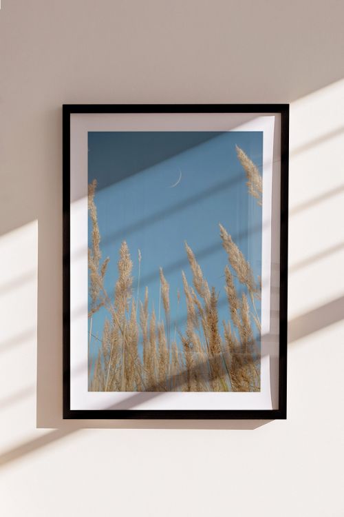 Nature Photography Collection Plants No10 Premium Poster