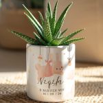 kaspo-prosopopoiimeno-me-sxedio-myikona-i-0067-1