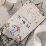 prosklitirio-baptisis-50-0637-koritsi-roz-elefantaki