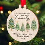 Στολίδι Χριστουγεννιάτικου Δέντρου με Ονόματα- Family Tree