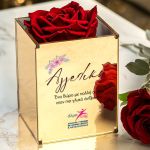 Άλμα Ζωής - Τριαντάφυλλο Κόκκινο με Όνομα & Αφιέρωση