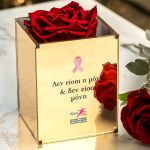 Άλμα Ζωής - Τριαντάφυλλο Κόκκινο σε Κουτί Golden Mirror