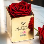 Άλμα Ζωής - Τριαντάφυλλο Κόκκινο, Δώρο για Μητέρα