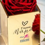 Άλμα Ζωής - Τριαντάφυλλο Κόκκινο, Δώρο για Μητέρα