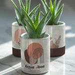 myikona-kaspo-glastraki-me-onoma-set-of-3-e-017