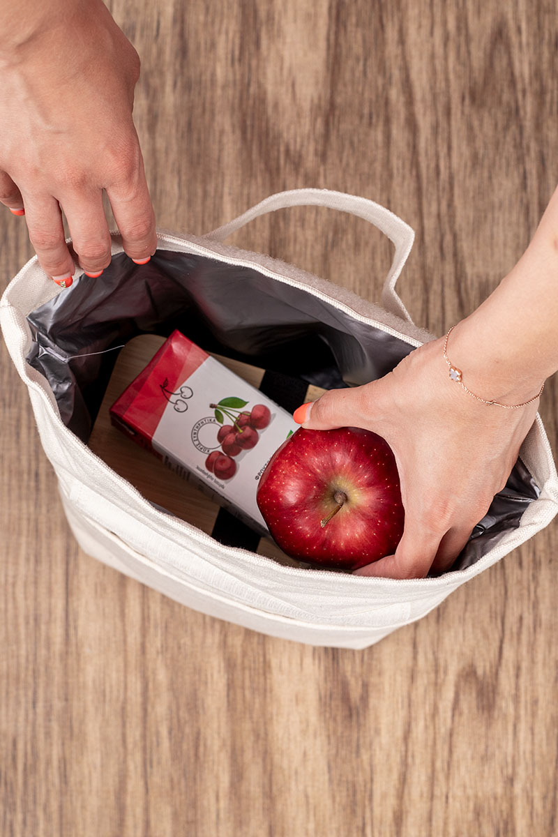 Ισοθερμικό Τσαντάκι Φαγητού – Lunch Bag Παιδικό & Ενηλίκων