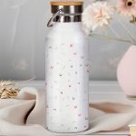 Prosopopoiimeno Thermos me Fotografia, Scholiko Anamnistiko