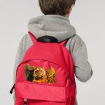 Σχολική Τσάντα Πλάτης Νηπιαγωγείου Κόκκινη με Τιγράκια